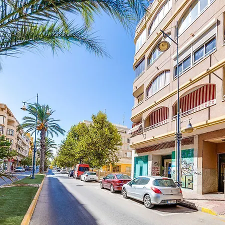 Seaview Торевьиа