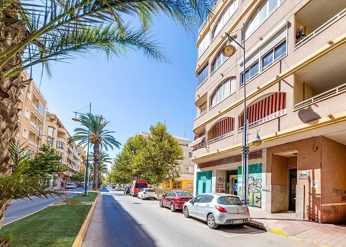 Seaview Торевьиа